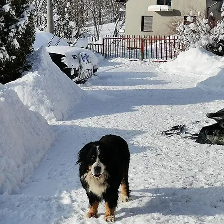 Casa de Férias Góralska Chata Słoneczny Dzionek